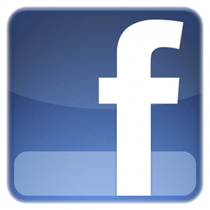 Perfil de Facebook Sara Martin Flamenco